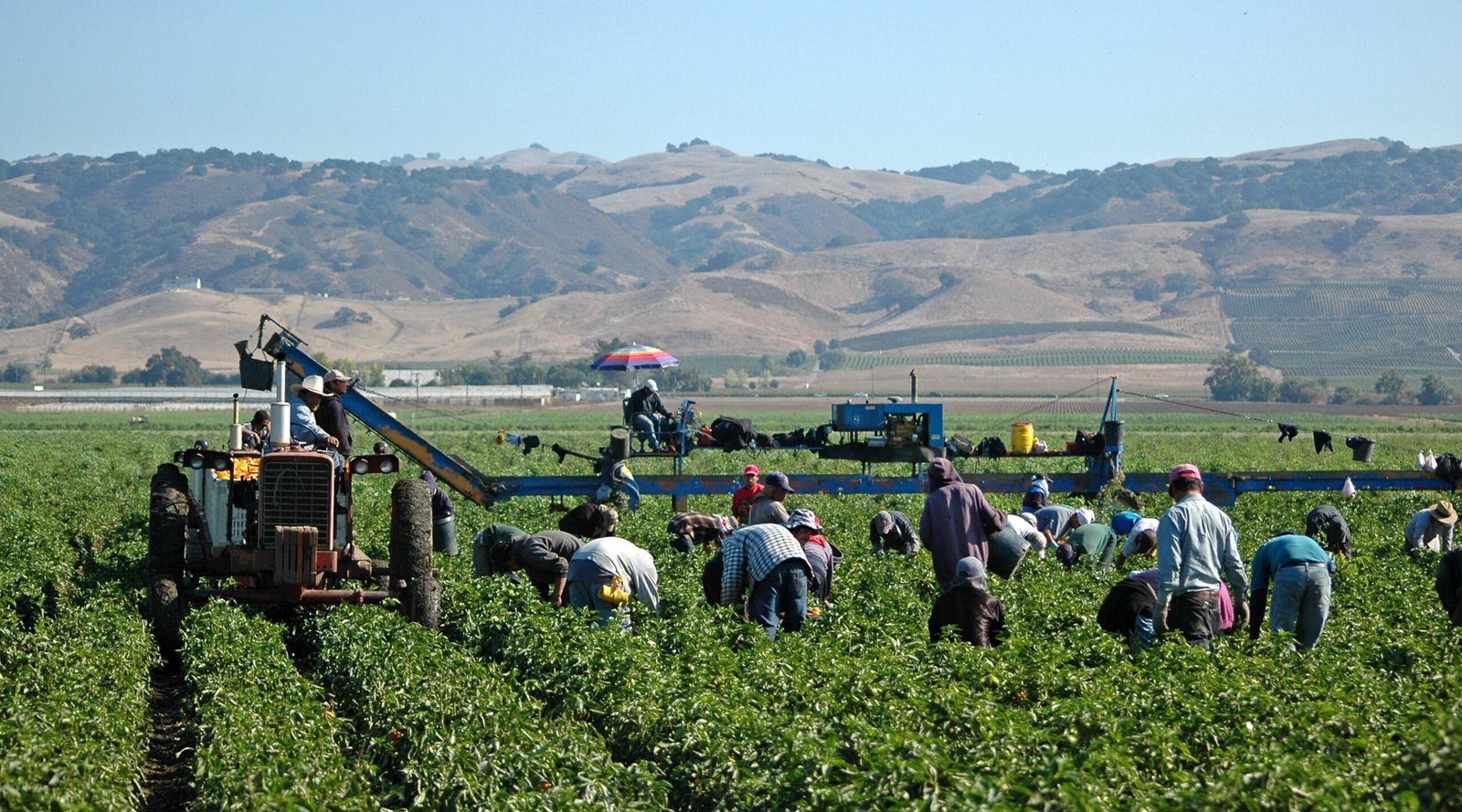 Farm Jobs in USA with Visa Sponsorship